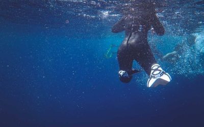 Plongée épave à Cuba: les sites sous-marins qui racontent l’histoire
