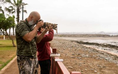 Observation des oiseaux à Cuba: où admirer les espèces les plus fascinantes
