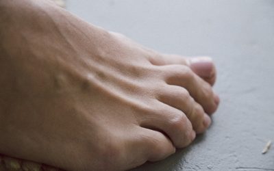 Meilleur pronostic foot 2026 : guide complet et sites fiables