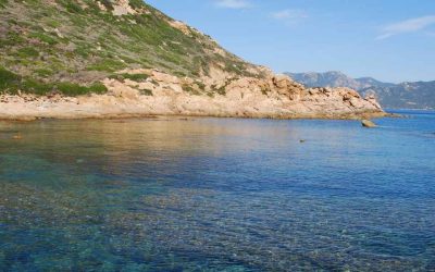Îles secrètes de Cuba : où trouver des plages encore préservées ?