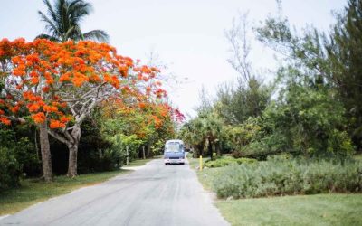 Road trip Cuba : quels itinéraires offrent les paysages les plus spectaculaires ?