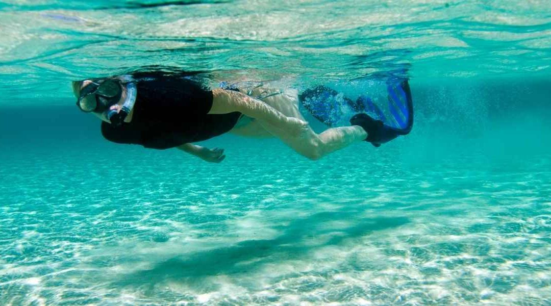 spots snorkeling