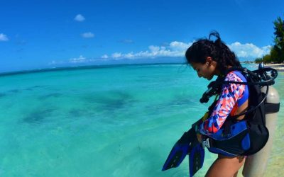 Meilleure période plongée Cuba : quand partir pour des conditions idéales sous l’eau ?