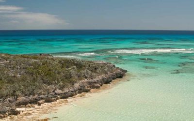 Cat Island Cuba à visiter : que voir et faire durant votre passage ?