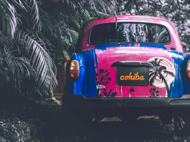 Cohiba cubaine ou dominicaine : différences essentielles