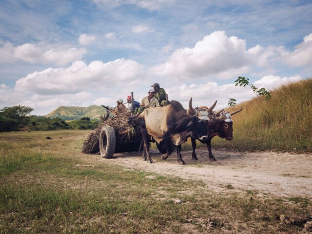 Cuba : les nouvelles liaisons aériennes peuvent-elles sauver le tourisme ?
