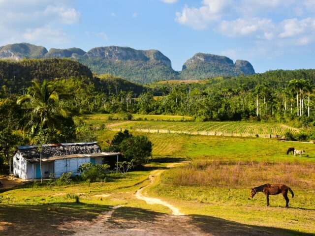 Voyager à Cuba : les énergies renouvelables en question